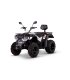 QUAD LINHAI M 210 EFI 2x4