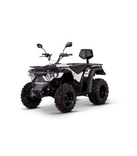 QUAD LINHAI M 210 EFI 2x4