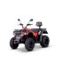 QUAD LINHAI M 210 EFI 2x4